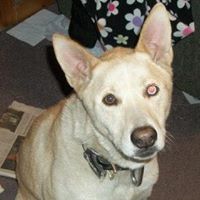 Amy Goodwin Photo 17