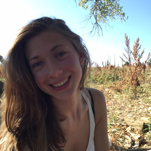 Chelsea Castle Photo 19