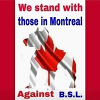 Deborah Gaffney Photo 9