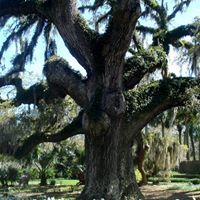 Larry Carpenter Photo 19