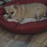 Charlene Cherry Photo 21