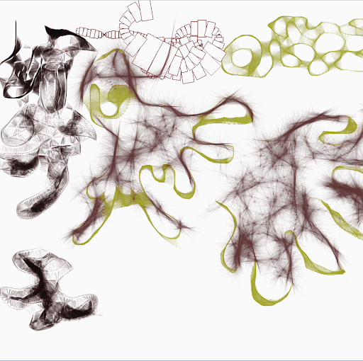 Stephen Whitman Photo 37