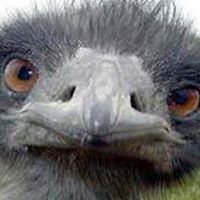 Joy Mcdaniel Photo 29