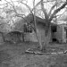 Dorothy Wright Photo 29
