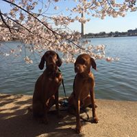 Cheryl Pratt Photo 34