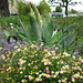 Ruth Davis Photo 36