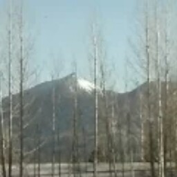 Marcus Winslow Photo 4