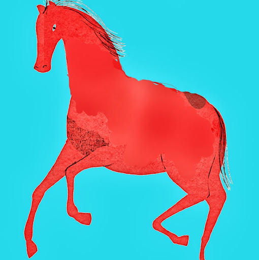 Paula Norris Photo 22