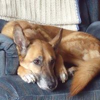 Kathy Flowers Photo 21