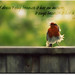 Robin Botts Photo 9