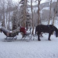 Michael Buchholz Photo 25