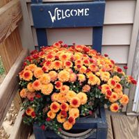 Michelle Roush Photo 15
