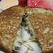 Patty Yoder Photo 16