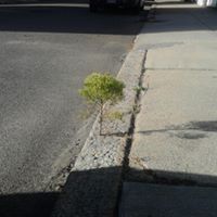 Robert Shick Photo 15