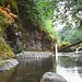 Dorothy Vines Photo 10