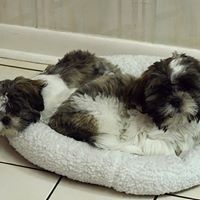 Jean Rodgers Photo 28