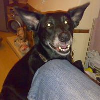 Jean Rodgers Photo 31