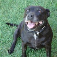 Rayna Reynolds Photo 7