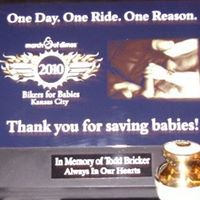 Todd Bricker Photo 13