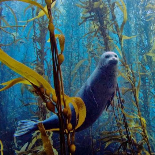 Stefanie Roberson Photo 16