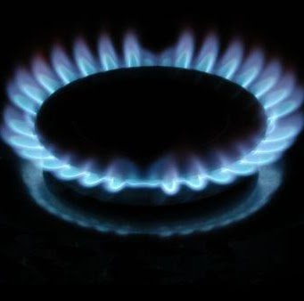 Terry Andrews Photo 3