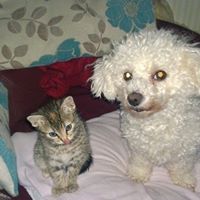 Barbara Potts Photo 32