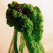 Crystal Green Photo 36