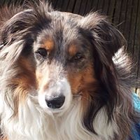 Julie Worthington Photo 16