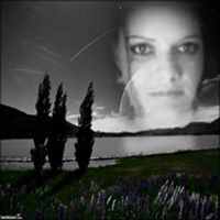 Christie Harvey Photo 16