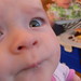 Rosie Bush Photo 30
