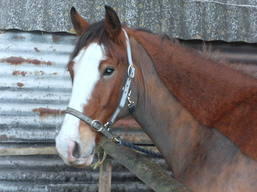 Danielle Ayres Photo 28