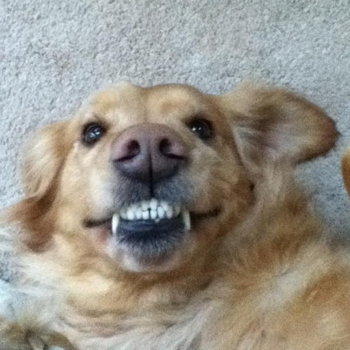 Cheryl Simone Photo 3