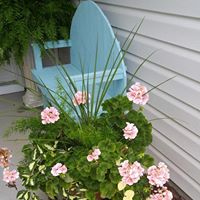 Cindy Jolly Photo 41