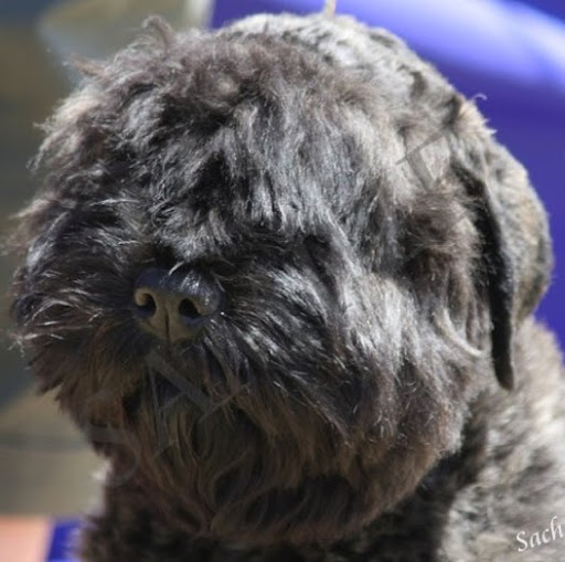 Pauline Richards Photo 37