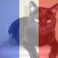 Janet Guthrie Photo 13