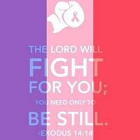 Lisa Kitchens Photo 12