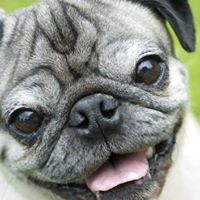 Lindsay Hall Photo 20