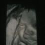 Shannon Thacker Photo 12