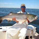 Peter Ferraro Photo 5