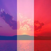 Suzanne Donovan Photo 16 Suzanne Donovan Photo 16