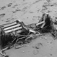 Rachel Bird Photo 18