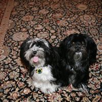 Sara Schneider Photo 4