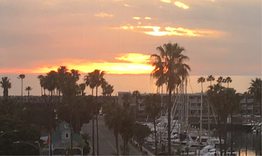 Teri Anderson Photo 15