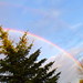 Joel Hubbard Photo 19