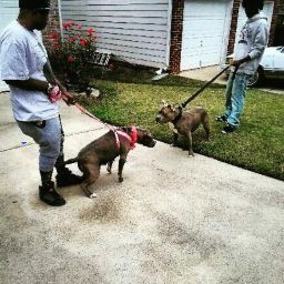 Fred Nelson Photo 35