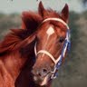 Nancy Blackburn Photo 18