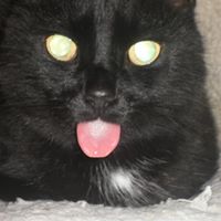 Suzanne Kendrick Photo 21