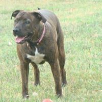 Sarah Byerly Photo 21