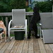 Sandy Murphy Photo 6
