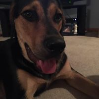 John Marcus Photo 31 John Marcus Photo 31